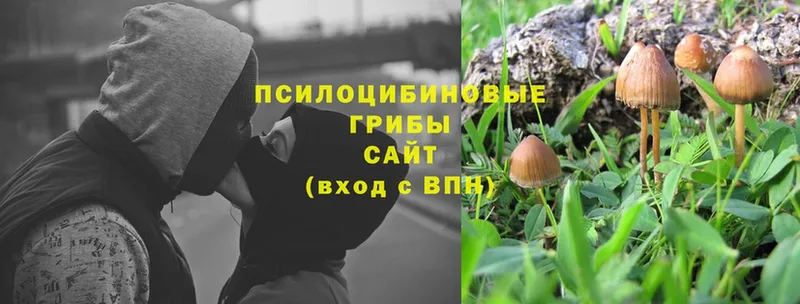 Галлюциногенные грибы Magic Shrooms  даркнет сайт  Константиновск 